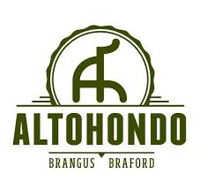 Altohondo
