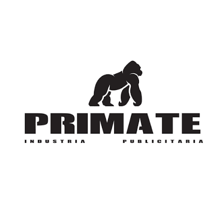 Primate
